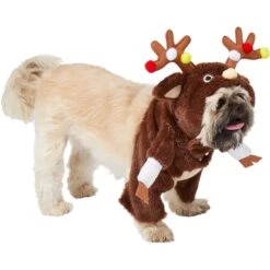 Frisco Front Walking Reindeer Dog & Cat Costume, 1 Count 12 Frisco Front Walking Reindeer Dog & Cat Costume, 1 Count -Pup Haven Sales Store 228790 PT3. AC SS1800 V1631299657