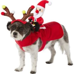 Frisco Santa Rider Dog & Cat Costume