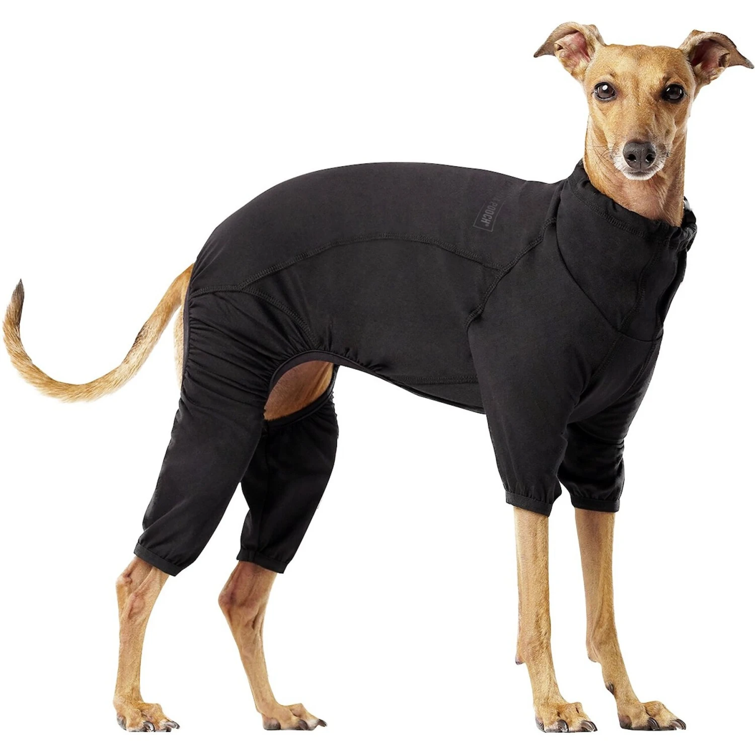 Canada Pooch Thermal Layer Dog Onesie, Black 1 Canada Pooch Thermal Layer Dog Onesie, Black