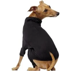 Canada Pooch Thermal Layer Dog Onesie, Black 7 Canada Pooch Thermal Layer Dog Onesie, Black -Pup Haven Sales Store 229714 PT2. AC SS1800 V1597878702