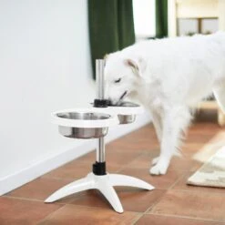 Frisco Adjustable Stainless Steel Double Elevated Dog Bowls 13 Frisco Adjustable Stainless Steel Double Elevated Dog Bowls -Pup Haven Sales Store 232097 PT8. AC SS1800 V1605740511