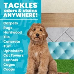 Unique Pet Care Ultra Concentrated Pet Odor & Stain Eliminator 10 Unique Pet Care Ultra Concentrated Pet Odor & Stain Eliminator -Pup Haven Sales Store 232909 PT2. AC SS1800 V1700689239