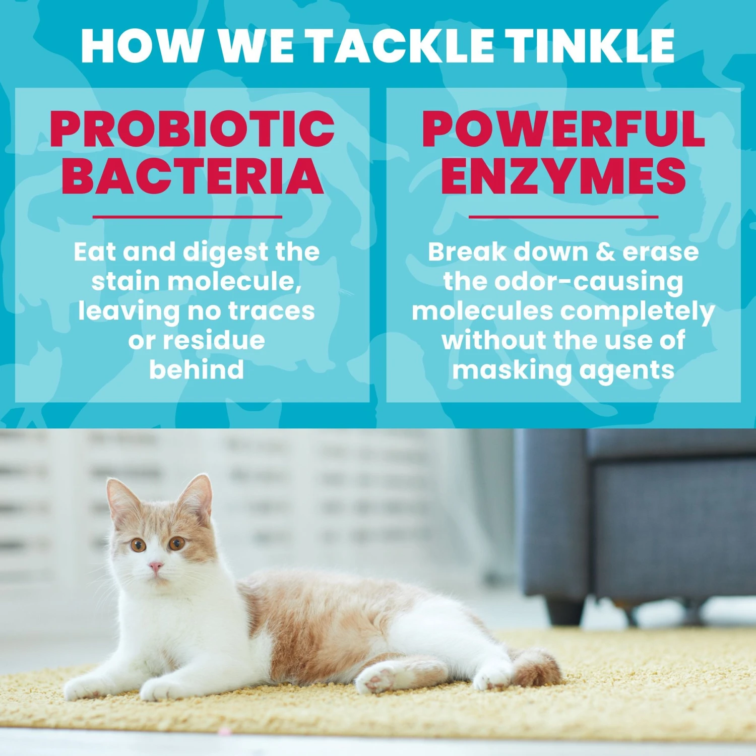 Unique Pet Care Ultra Concentrated Pet Odor & Stain Eliminator 5 Unique Pet Care Ultra Concentrated Pet Odor & Stain Eliminator - Image 5