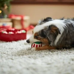 Frisco Holiday Wreath Fetch Squeaky Tennis Ball Dog Toy 10 Frisco Holiday Wreath Fetch Squeaky Tennis Ball Dog Toy -Pup Haven Sales Store 233189 PT3. AC SS1800 V1665759769