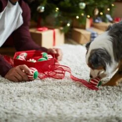 Frisco Holiday Wreath Fetch Squeaky Tennis Ball Dog Toy 11 Frisco Holiday Wreath Fetch Squeaky Tennis Ball Dog Toy -Pup Haven Sales Store 233189 PT5. AC SS1800 V1601919657