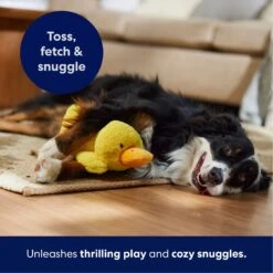 Frisco Duck Plush Squeaky Dog Toy -Pup Haven Sales Store 233613 PT4. AC SS1800 V1695670688
