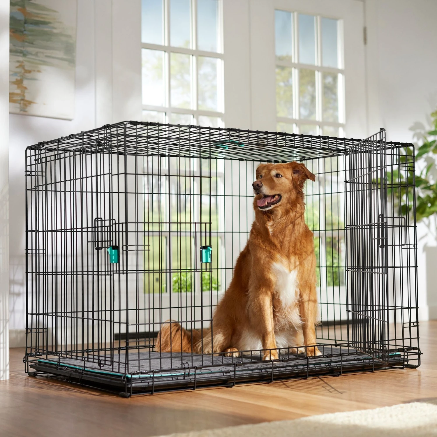 Frisco Heavy Duty Enhanced Lock Double Door Fold & Carry Wire Dog Crate & Mat Kit 1 Frisco Heavy Duty Enhanced Lock Double Door Fold & Carry Wire Dog Crate & Mat Kit