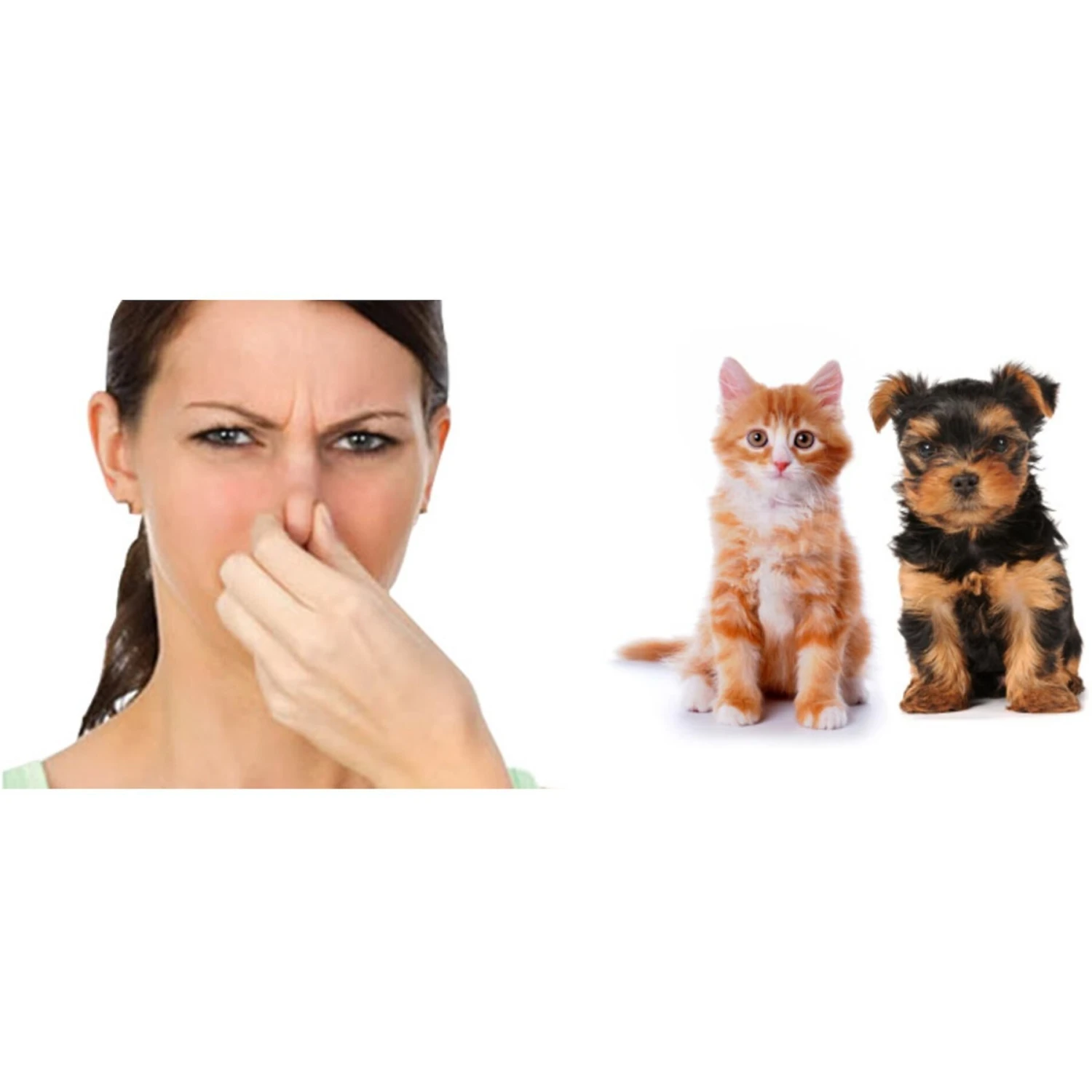 CI02 Liquid Shocker Hard Surface Odor Eliminator 2 CI02 Liquid Shocker Hard Surface Odor Eliminator - Image 2