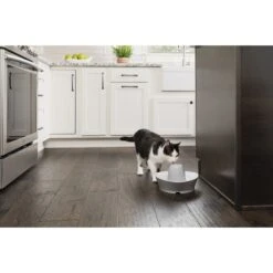 PetSafe Creekside Quiet Dog & Cat Fountain, 60-oz 14 PetSafe Creekside Quiet Dog & Cat Fountain, 60-oz -Pup Haven Sales Store 247077 PT6. AC SS1800 V1596740182