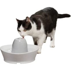 PetSafe Creekside Quiet Dog & Cat Fountain, 60-oz 15 PetSafe Creekside Quiet Dog & Cat Fountain, 60-oz -Pup Haven Sales Store 247077 PT7. AC SS1800 V1608081821