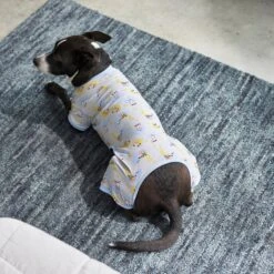 Frisco Sleepy Sloths Dog & Cat Jersey PJs -Pup Haven Sales Store 249144 PT7. AC SS1800 V1614369158