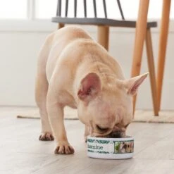 Frisco Boho Damask Ceramic Personalized Dog & Cat Bowl 7 Frisco Boho Damask Ceramic Personalized Dog & Cat Bowl -Pup Haven Sales Store 250833 PT3. AC SS1800 V1610758070