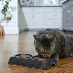 Frisco Copper Stainless Steel Double Dog & Cat Bowls With Black Marble Stand 10 Frisco Copper Stainless Steel Double Dog & Cat Bowls With Black Marble Stand -Pup Haven Sales Store 253058 PT2. AC SS1800 V1616594213