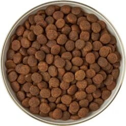 Frisco Gold Trim Melamine Dog & Cat Bowl 14 Frisco Gold Trim Melamine Dog & Cat Bowl -Pup Haven Sales Store 253062 PT5. AC SS1800 V1616595396