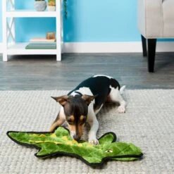 Frisco Alligator Stuffing-Free Flat Plush Squeaky Dog Toy & Frisco Raccoon Stuffing-Free Flat Plush Squeaky Dog Toy -Pup Haven Sales Store 255471 PT2. AC SS1800 V1602691584