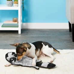 Frisco Alligator Stuffing-Free Flat Plush Squeaky Dog Toy & Frisco Raccoon Stuffing-Free Flat Plush Squeaky Dog Toy -Pup Haven Sales Store 255471 PT4. AC SS1800 V1602691287