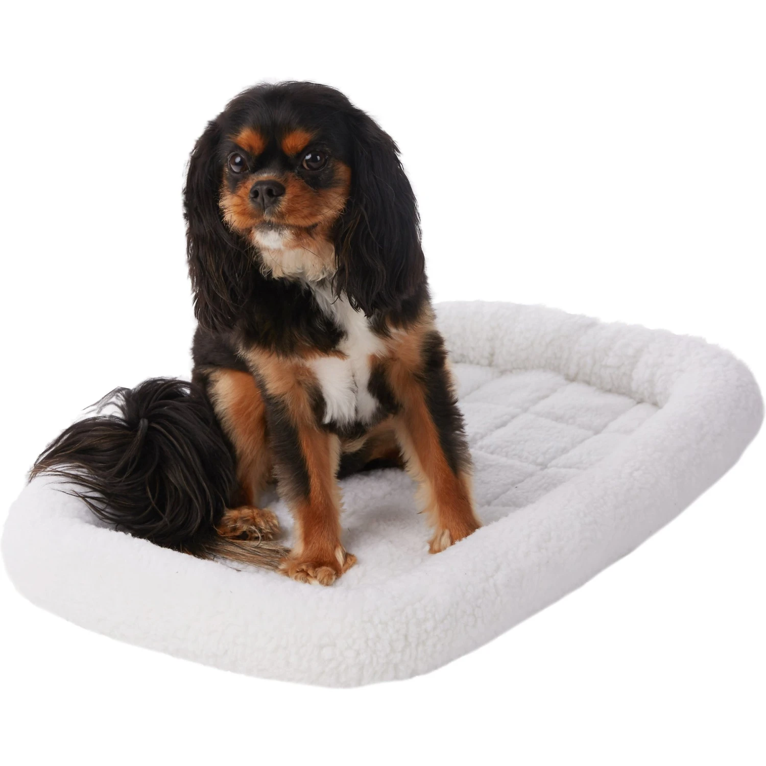 Frisco Heavy Duty Fold & Carry Single Door Collapsible Wire Dog Crate & Frisco Quilted Dog Crate Mat 5 Frisco Heavy Duty Fold & Carry Single Door Collapsible Wire Dog Crate & Frisco Quilted Dog Crate Mat - Image 5