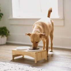 Frisco Ceramic Dog & Cat Double Diner With Elevated Wood Stand -Pup Haven Sales Store 256052 PT2. AC SS1800 V1615311142