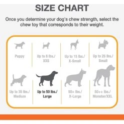 Nylabone Power Chew Durable Dog Chew Toys Twin Pack Beef Jerky & Chicken -Pup Haven Sales Store 256131 PT3. AC SS1800 V1629842828