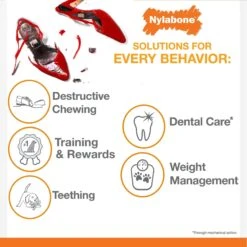 Nylabone Power Chew Durable Dog Chew Toys Twin Pack Beef Jerky & Chicken -Pup Haven Sales Store 256131 PT8. AC SS1800 V1629841981