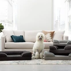 Brindle Orthopedic Bolster Dog & Cat Bed With Removable Cover 15 Brindle Orthopedic Bolster Dog & Cat Bed With Removable Cover -Pup Haven Sales Store 256164 PT7. AC SS1800 V1602111368