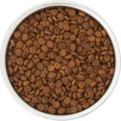 Frisco Insulated Two-Toned Non-Skid Stainless Steel Dog & Cat Bowl 11 Frisco Insulated Two-Toned Non-Skid Stainless Steel Dog & Cat Bowl -Pup Haven Sales Store 257168 PT4. AC SS1800 V1612367255