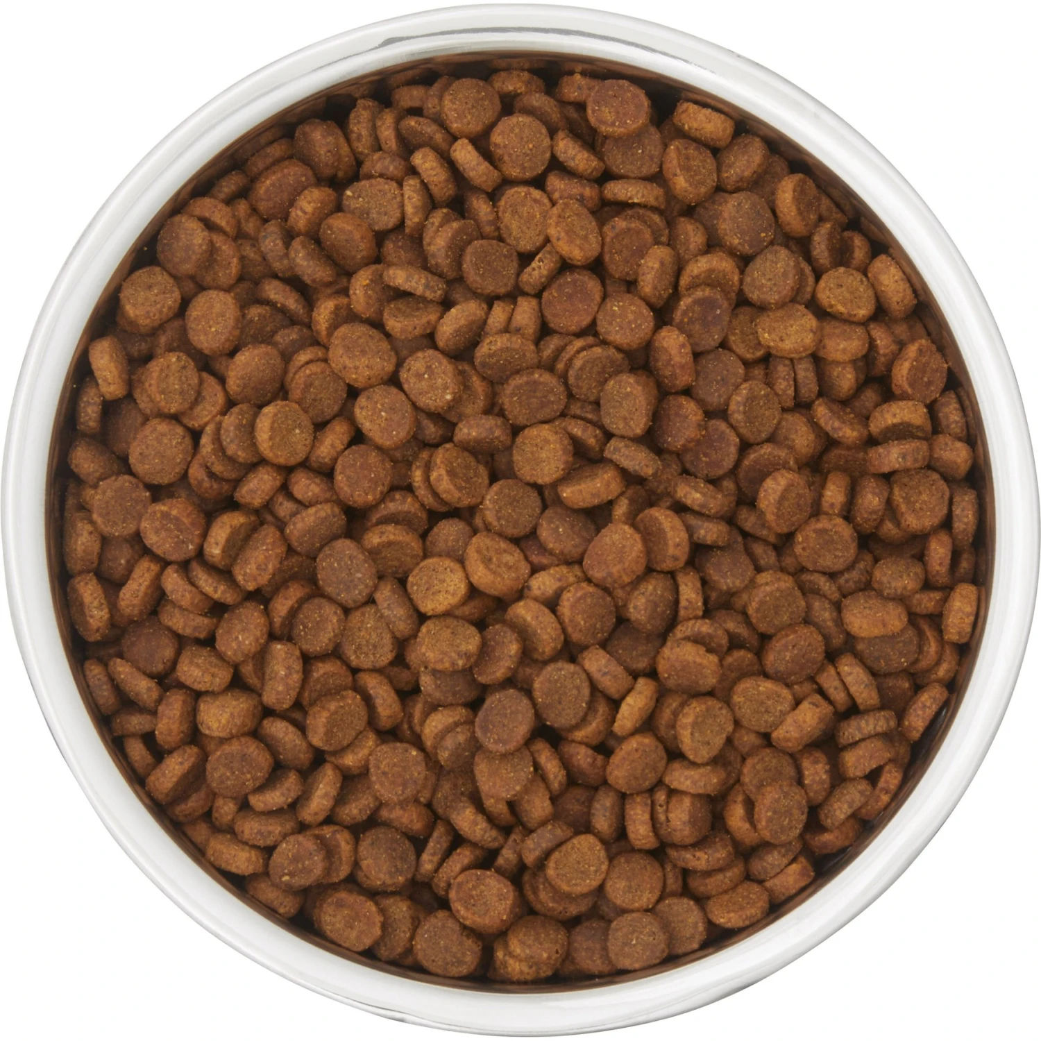 Frisco Insulated Two-Toned Non-Skid Stainless Steel Dog & Cat Bowl 5 Frisco Insulated Two-Toned Non-Skid Stainless Steel Dog & Cat Bowl - Image 5