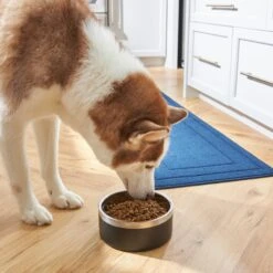 Frisco Insulated Two-Toned Non-Skid Stainless Steel Dog & Cat Bowl 13 Frisco Insulated Two-Toned Non-Skid Stainless Steel Dog & Cat Bowl -Pup Haven Sales Store 257168 PT8. AC SS1800 V1615840126