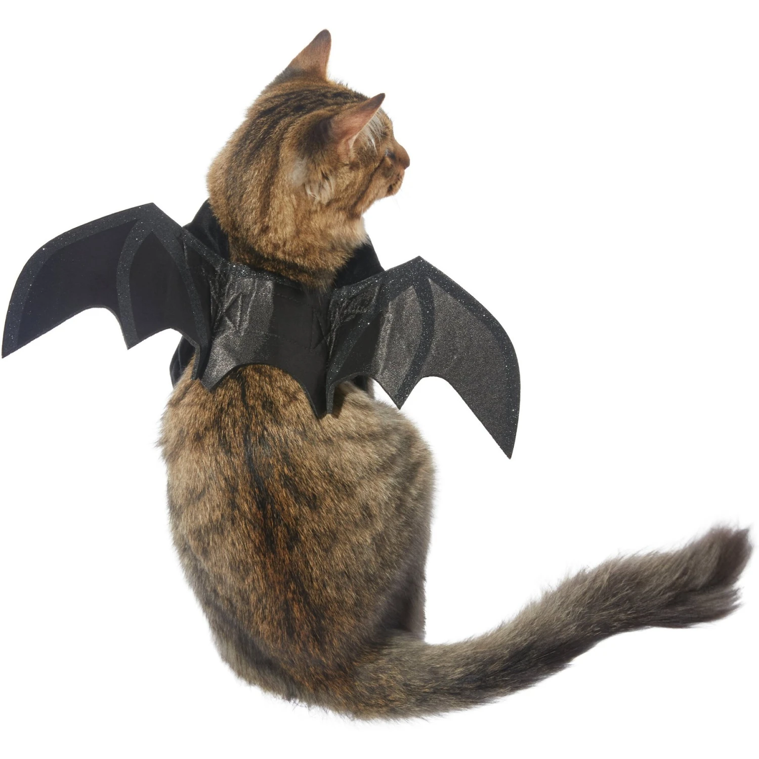 Frisco Bat Wings Dog & Cat Costume 1 Frisco Bat Wings Dog & Cat Costume
