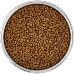 Frisco Insulated Non-Skid Stainless Steel Dog & Cat Bowl 12 Frisco Insulated Non-Skid Stainless Steel Dog & Cat Bowl -Pup Haven Sales Store 261757 PT4. AC SS1800 V1623937392