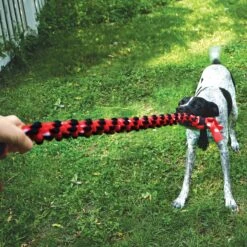 KONG Signature Double Ring Tug Rope Dog Toy -Pup Haven Sales Store 262988 PT2. AC SS1800 V1611090890