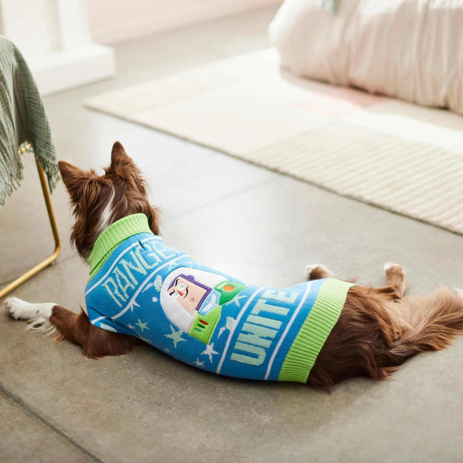 Disney Pixar Toy Story Buzz Lightyear "Unite" Dog & Cat Sweater 7 Disney Pixar Toy Story Buzz Lightyear "Unite" Dog & Cat Sweater - Image 7