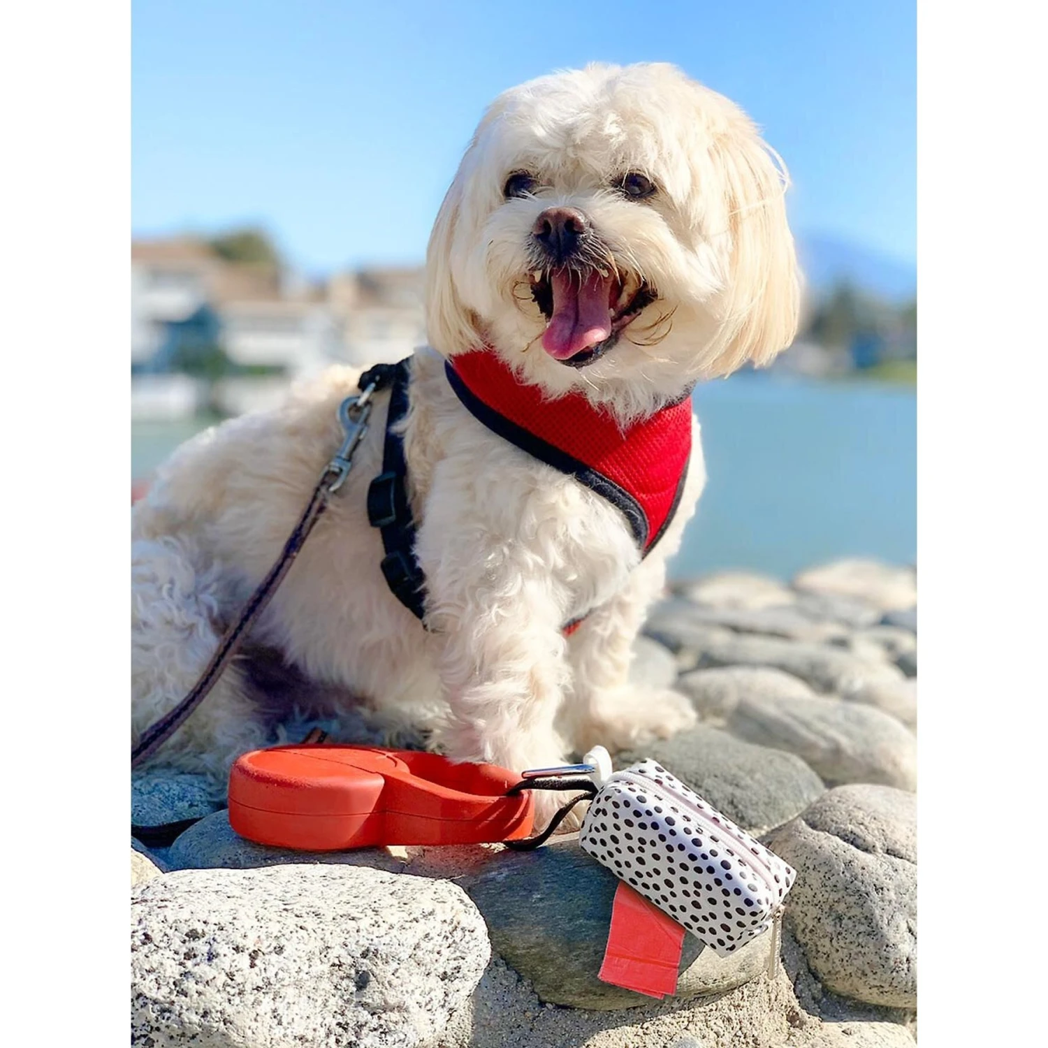 Doggie Walk Bags Scented Tie Handle Dog Poop Bags, Rainbow, 72 Count 2 Doggie Walk Bags Scented Tie Handle Dog Poop Bags, Rainbow, 72 Count - Image 2