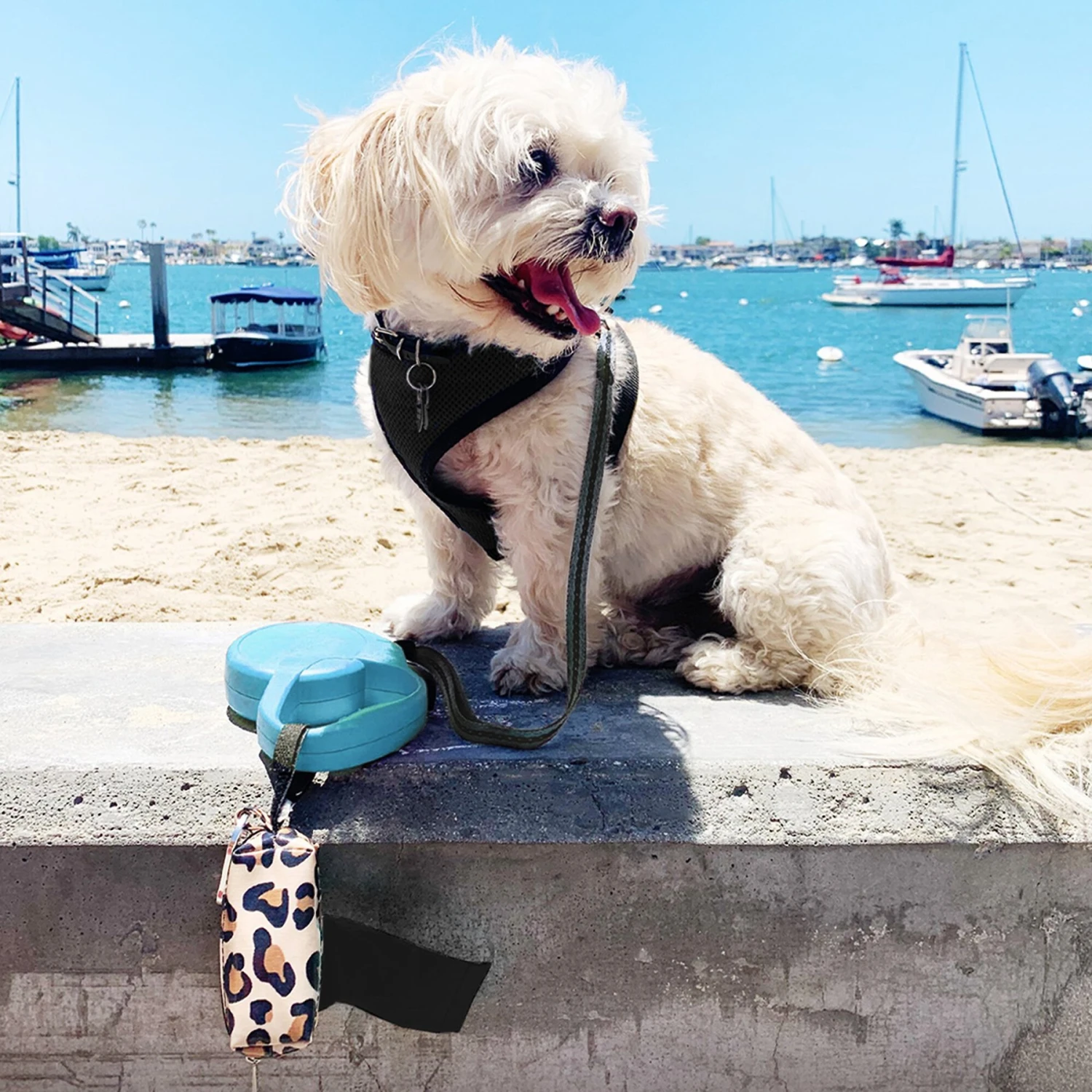 Doggie Walk Bags Uncented Tie Handle Dog Poop Bags, Black, 72 Count 2 Doggie Walk Bags Uncented Tie Handle Dog Poop Bags, Black, 72 Count - Image 2