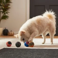 Frisco Halloween Glow In The Dark Fetch Squeaky Tennis Ball Dog Toy -Pup Haven Sales Store 270525 PT3. AC SS1800 V1624824980