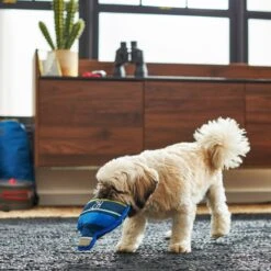 Frisco Camping Canteen Plush With Rope Squeaky Dog Toy 5 Frisco Camping Canteen Plush With Rope Squeaky Dog Toy -Pup Haven Sales Store 271022 PT3. AC SS1800 V1625009237