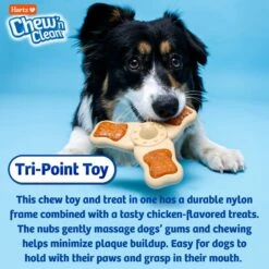 Hartz Chew 'n Clean Chew Chicken Flavored Tri-Point Dog Treat & Chew Toy 12 Hartz Chew 'n Clean Chew Chicken Flavored Tri-Point Dog Treat & Chew Toy -Pup Haven Sales Store 272246 PT4. AC SS1800 V1667598042