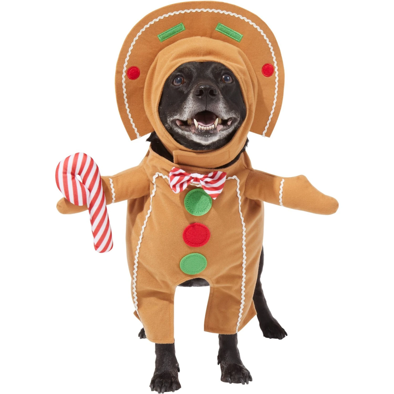Frisco Front Walking Gingerbread Dog & Cat Costume 1 Frisco Front Walking Gingerbread Dog & Cat Costume