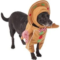 Frisco Front Walking Gingerbread Dog & Cat Costume 10 Frisco Front Walking Gingerbread Dog & Cat Costume -Pup Haven Sales Store 276156 PT3. AC SS1800 V1631660334