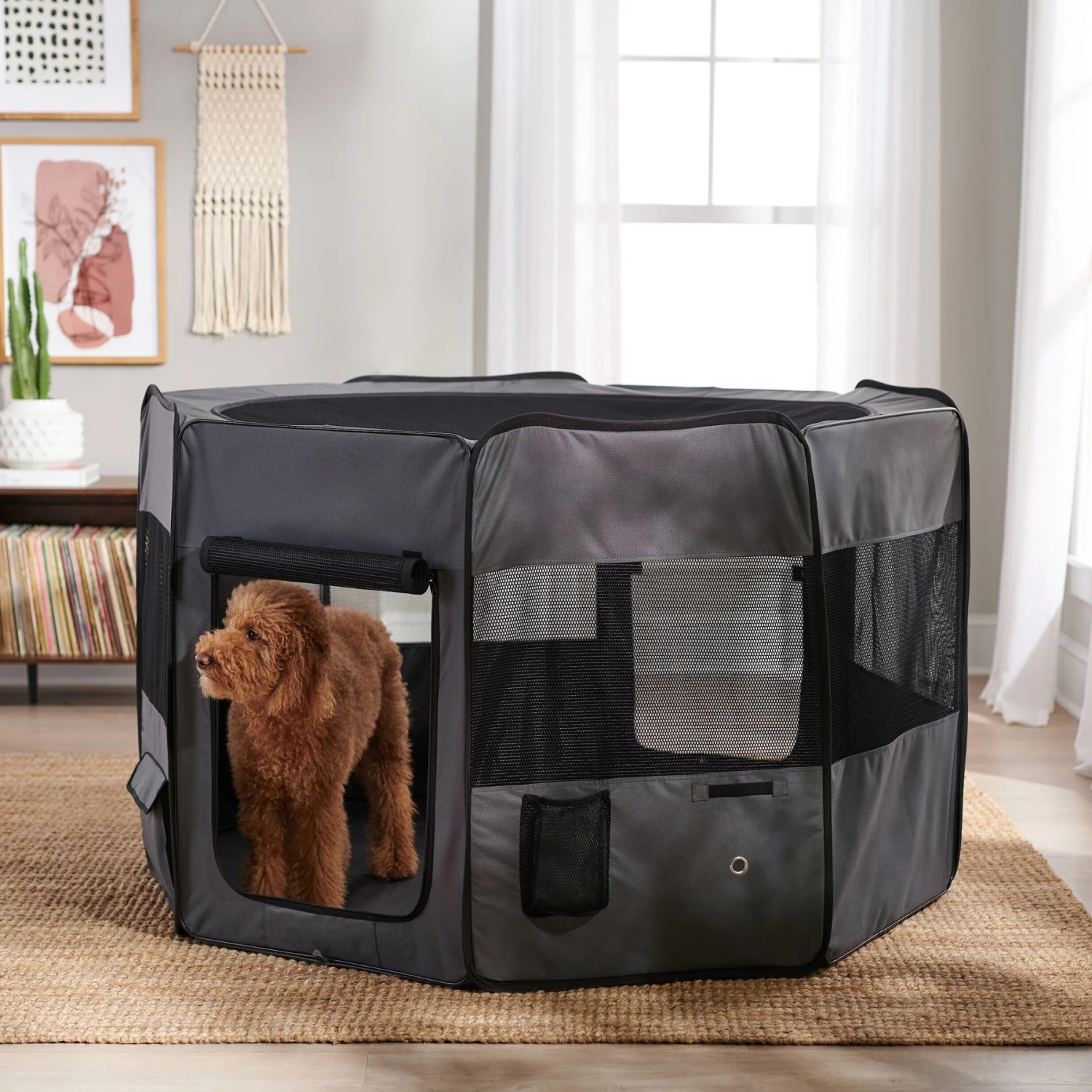 Frisco Soft-Sided Dog, Cat & Small Pet Exercise Playpen 1 Frisco Soft-Sided Dog, Cat & Small Pet Exercise Playpen