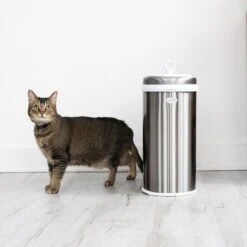 Ubbi® Ubbi Stainless Steel Dog & Cat Waste Pail 10 Ubbi® Ubbi Stainless Steel Dog & Cat Waste Pail -Pup Haven Sales Store 279122 PT4. AC SS1800 V1678378358