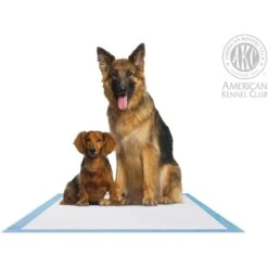 American Kennel Club AKC Ultra-Absorbent Fresh Cut Grass Scented Dog Training Pads, X-Large, 50 Count 8 American Kennel Club AKC Ultra-Absorbent Fresh Cut Grass Scented Dog Training Pads, X-Large, 50 Count -Pup Haven Sales Store 279840 PT3. AC SS1800 V1615517821