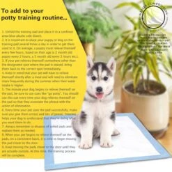 American Kennel Club AKC Ultra-Absorbent Fresh Cut Grass Scented Dog Training Pads, X-Large, 50 Count 9 American Kennel Club AKC Ultra-Absorbent Fresh Cut Grass Scented Dog Training Pads, X-Large, 50 Count -Pup Haven Sales Store 279840 PT4. AC SS1800 V1615516020