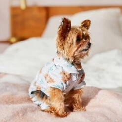 Wagatude Hedgehog Print Dog Pajamas 9 Wagatude Hedgehog Print Dog Pajamas -Pup Haven Sales Store 282098 PT3. AC SS1800 V1637648794