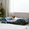 Pixar Toy Story Pet Bed & Gift Set