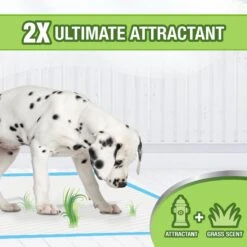 Four Paws Wee-Wee Ultimate Attractant Dog Pee Pads With Grass Scent -Pup Haven Sales Store 286422 PT2. AC SS1800 V1619847185