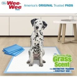 Four Paws Wee-Wee Ultimate Attractant Dog Pee Pads With Grass Scent -Pup Haven Sales Store 286422 PT3. AC SS1800 V1619836335