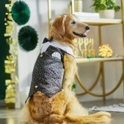 Wagatude Star Print Dog Vest 7 Wagatude Star Print Dog Vest -Pup Haven Sales Store 286844 PT5. AC SS1800 V1631064736