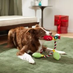 Frisco Holiday Lights Plush With Rope Squeaky Dog Toy 7 Frisco Holiday Lights Plush With Rope Squeaky Dog Toy -Pup Haven Sales Store 287109 PT3. AC SS1800 V1632775707