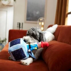 Frisco Nutcracker-in-a-Box Plush Squeaky Dog Toy -Pup Haven Sales Store 287173 PT3. AC SS1800 V1632773316